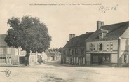 18 Cher / CPA FRANCE 18 "Brinon sur Sauldre, la place du Marronnier"