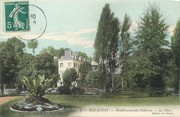 76 Seine Maritime / CPA FRANCE 76 "Malaunay, établissement Pellerin, le parc"