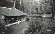 77 Seine Et Marne / CPSM FRANCE 77 "Voulx, l'Orvanne et le lavoir "