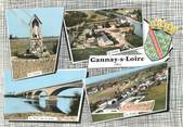 03 Allier / CPSM FRANCE 03 "Gannat sur Loire"