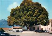 06 Alpe Maritime / CPSM FRANCE 06 "Castellar, place de la mairie"