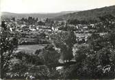 77 Seine Et Marne / CPSM FRANCE 77 "Champagne sur Seine, vue générale" 