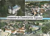 77 Seine Et Marne / CPSM FRANCE 77 "Dammartin sur Tigeaux"