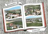 77 Seine Et Marne / CPSM FRANCE 77 "Gastins"