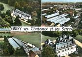 77 Seine Et Marne / CPSM FRANCE 77 "Grisy Suisnes, ses châteaux et ses Serres"