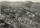 07 Ardeche CPSM FRANCE 07 "Ribes, vue générale aérienne"