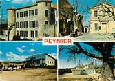 13 Bouch Du Rhone / CPSM FRANCE 13 "Peynier, route de la provence"