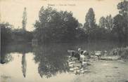 77 Seine Et Marne / CPA FRANCE 77 "Vaux, port du temple" / LAVEUSES