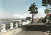 17 Charente Maritime / CPSM FRANCE 17 "Port des Barques, av l'Ile Madame"