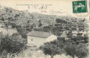 13 Bouch Du Rhone / CPA FRANCE 13 " Puyloubier, vue générale"