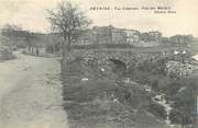 13 Bouch Du Rhone / CPA FRANCE 13 "Peynier, vue générale, pont des Michels "