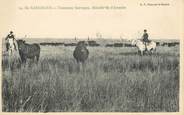 13 Bouch Du Rhone / CPA FRANCE 13 "En Camargue, taureaux sauvages, manade de l'Amarée"