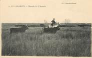 13 Bouch Du Rhone / CPA FRANCE 13 "En Camargue, manade de l'Amarée"