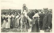 13 Bouch Du Rhone / CARTE PHOTO FRANCE 13 "Cheval"