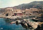 20 Corse / CPSM FRANCE 20 "Corse, Centuri, le petit port"