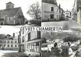 21 Cote D'or / CPSM FRANCE 21 "Gevrey Chambertin "