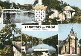 22 Cote D'armor / CPSM FRANCE 22 "Saint Nicolas du Pelem"