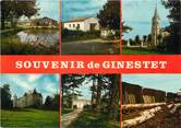 24 Dordogne CPSM FRANCE 24 "Souvenir de Ginestet"