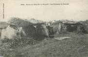 29 Finistere / CPA FRANCE 29 "Route de Saint Pol à Roscoff, les dolmens de Caravel"