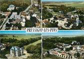 45 Loiret / CPSM FRANCE 45 "Pressigny Les Pins"