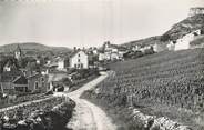 71 SaÔne Et Loire / CPSM FRANCE 71 "Solutré Pouilly, ses vignobles"