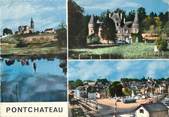 44 Loire Atlantique / CPSM FRANCE 44 "Pontchâteau"