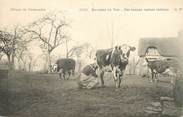 14 Calvado / CPA FRANCE 14 "Environs de Vire, ces bonnes vaches laitières"