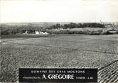 44 Loire Atlantique / CPSM FRANCE 44 "Saint Fiacre, domaine des Gras Moutons"