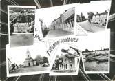 44 Loire Atlantique / CPSM FRANCE 44 "Saint Aignan Grand Lieu"