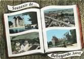 45 Loiret / CPSM FRANCE 45 "Bellegarde "