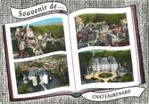 45 Loiret / CPSM FRANCE 45 "Souvenir de Châteaurenard" 