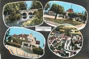 45 Loiret / CPSM FRANCE 45 "Coullons "