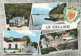 44 Loire Atlantique / CPSM FRANCE 44 "le Cellier"