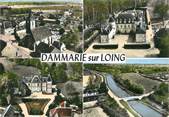 45 Loiret / CPSM FRANCE 45 "Dammarie sur Loing"