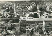 45 Loiret / CPSM FRANCE 45 "Fay aux Loges"