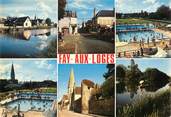 45 Loiret / CPSM FRANCE 45 "Fay aux Loges "