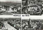 45 Loiret / CPSM FRANCE 45 "Neuville aux Bois "