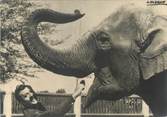 60 Oise / CPSM FRANCE 60 "Ermenonville, zoo Jean Richard" / ELEPHANT