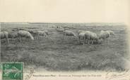 80 Somme / CPA FRANCE 80 "Noyelles sur Mer, moutons au pâturage"