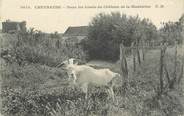 78 Yveline / CPA FRANCE 78 "Chevreuse, dans les fossés du château de la Madeleine" / CHEVRE