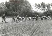 71 SaÔne Et Loire / CPSM FRANCE 71 "Pépinières Letourneau Burgy, plantation d'une pépinière"