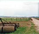 71 SaÔne Et Loire / CPSM FRANCE 71 "Lays sur le Doubs, la campagne"