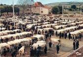 71 SaÔne Et Loire / CPSM FRANCE 71 "Saint Christophe en Brionnais, la célèbre foire aux bestiaux "