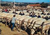 71 SaÔne Et Loire / CPSM FRANCE 71 "Saint Christophe en Brionnais, la célèbre foire aux  bestiaux"