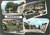 71 SaÔne Et Loire / CPSM FRANCE 71 "Senozan"