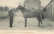 61 Orne / CPA FRANCE 61 "Haras du Pin, Clamart, étalon pur sang anglais" / CHEVAL