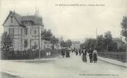 61 Orne / CPA FRANCE 61 "Le Mesle sur Sarthe, av de la gare"