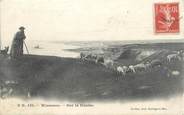 62 Pa De Calai / CPA FRANCE 62 "Wimereux, sur la falaise"