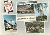 73 Savoie / CPSM FRANCE 73 "Montailleur"