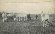 13 Bouch Du Rhone / CPA FRANCE 13 "En Camargue, manade de l'Amarée, juments à l'entrave" / CHEVAL